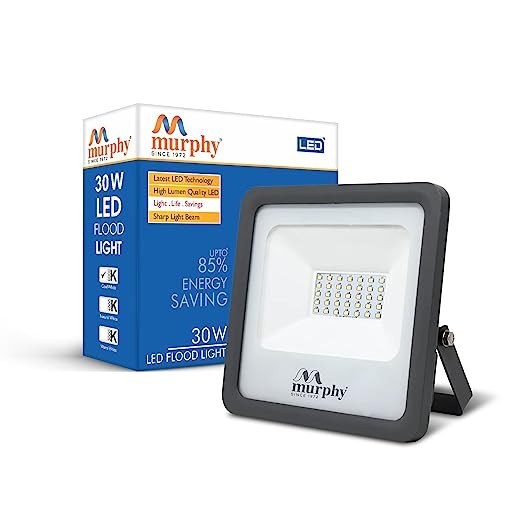 Murphy BIS Approved IP-65 30W LED Outdoor Flood Light (Cool White)