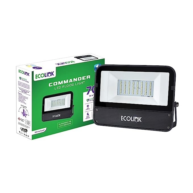 EcoLink 70W Waterproof Clear Glass LED Outdoor Flood Light (Cool White)